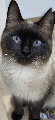 Adopter Oscar et betty