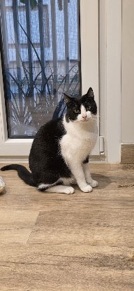 Adopter Oscar et betty