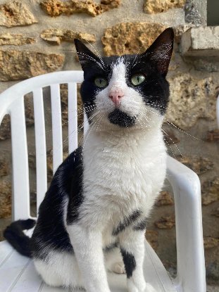 Adopter Roudoudou