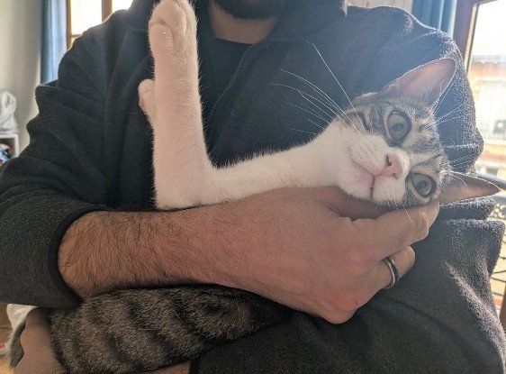 Adoption Sabra