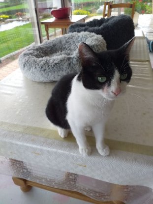 Adopter Vickie