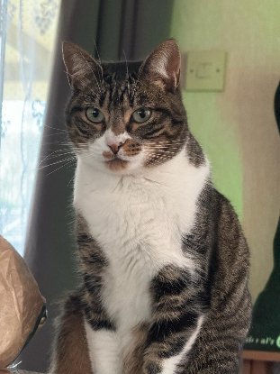 Adoption Victoria