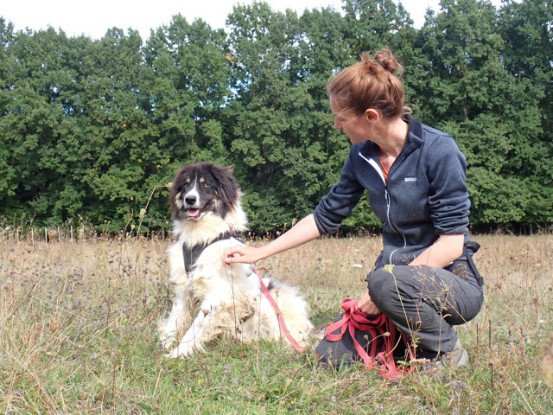 Adopter Alfred