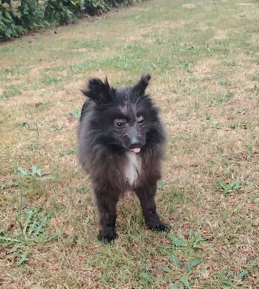Adopter Arthur