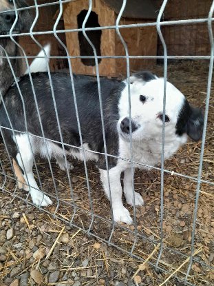 Adopter Athéna