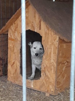 Adopter Athéna