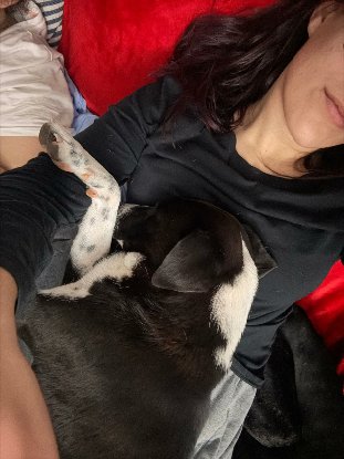 Adopter Benito