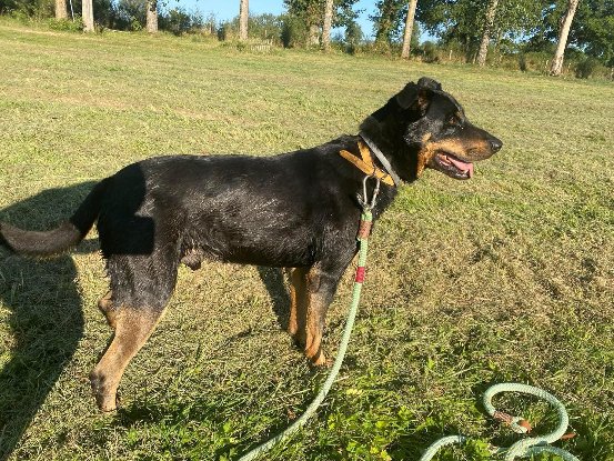 Adopter Break