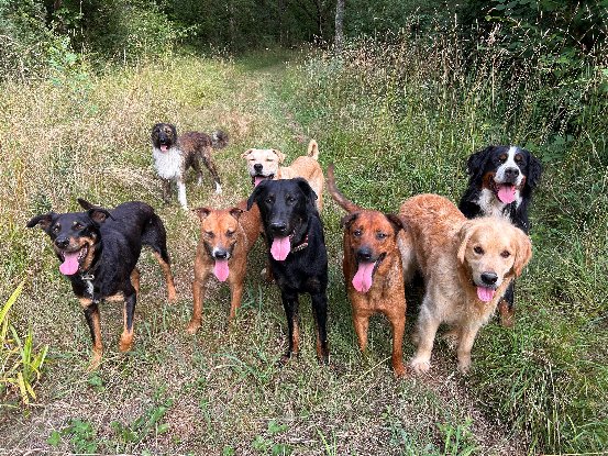 Adoption Break