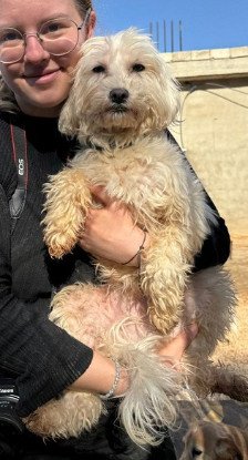 Adopter Cacharel