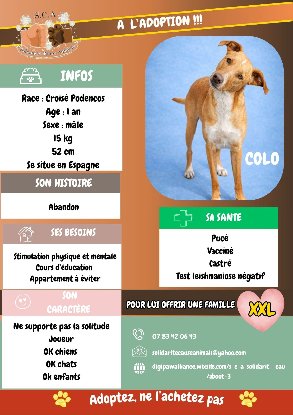 Adopter Colo