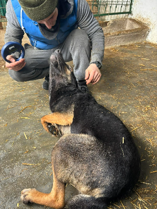 Adoption Elliot