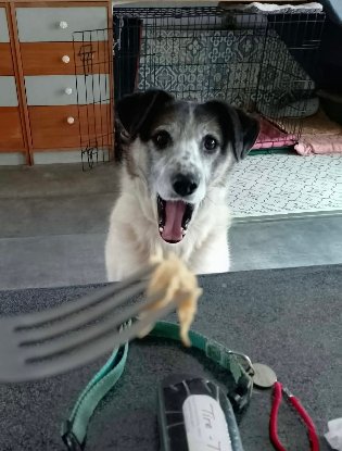 Adoption Faye