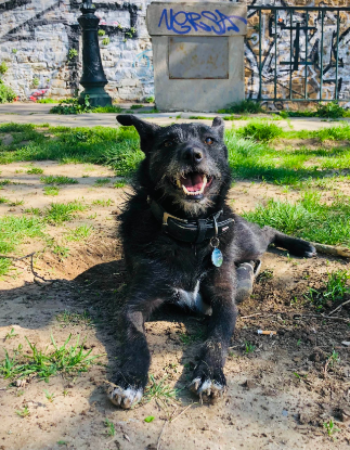 Adopter Glenda