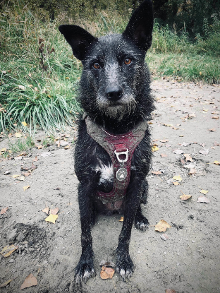 Adoption Glenda