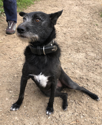 Adoption Glenda