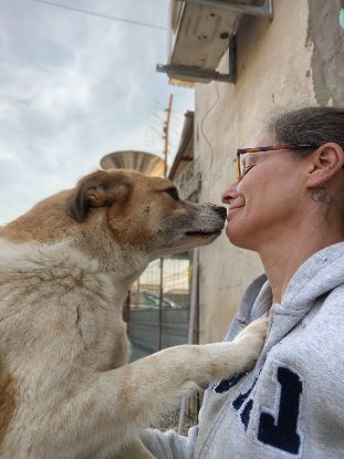 Adopter Honey