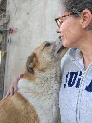 Adoption Honey