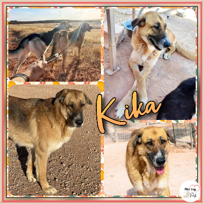 Adopter Kika