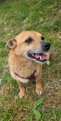Adopter Lilibeth