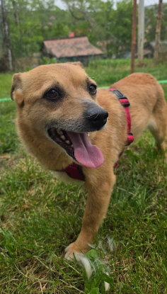 Adopter Lilibeth