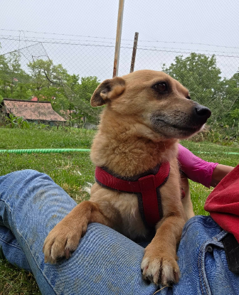 Adoption Lilibeth