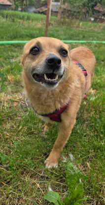 Adoption Lilibeth