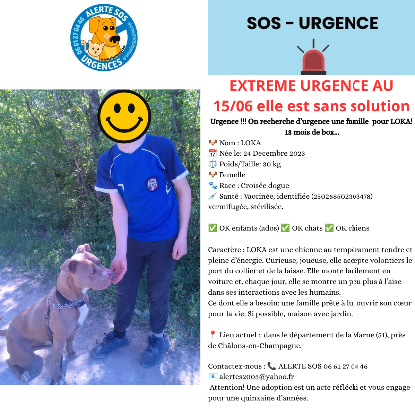 Adopter Loka en