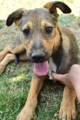 Adopter Lourdes