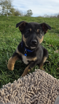 Adoption Lucas