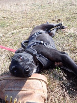 Adopter Luisa
