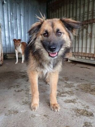 Adopter Lulu