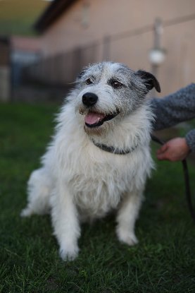 Adoption Madox