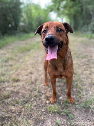 Adopter Malou