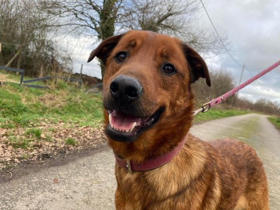 Adoption Malou