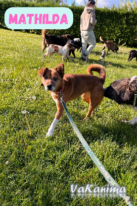 Adopter Mathilda