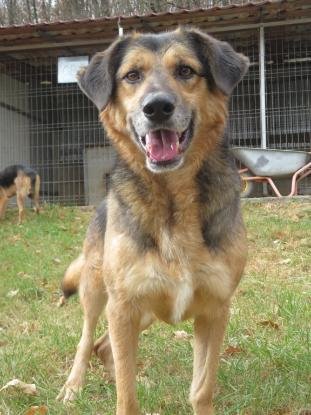Adopter Narco