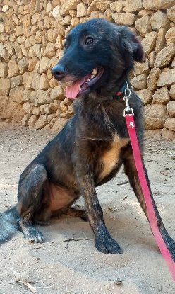 Adopter Nour