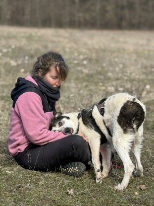 Adopter Obélix