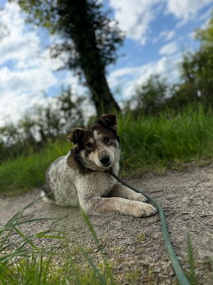 Adopter Olga