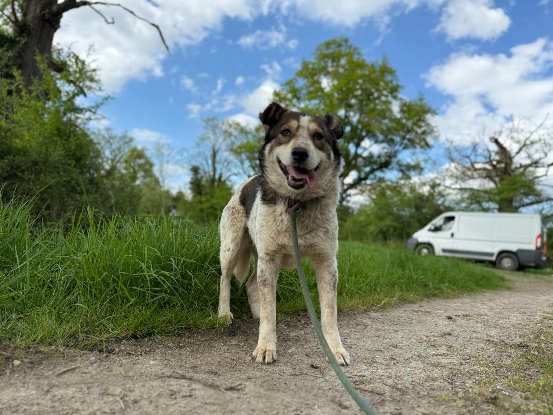 Adopter Olga