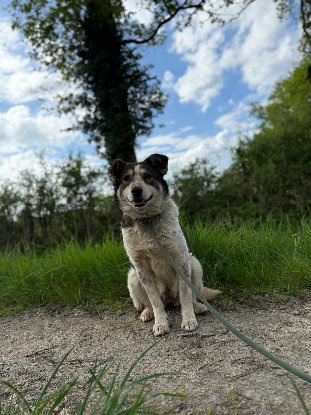 Adoption Olga