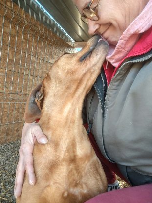 Adopter Pearl
