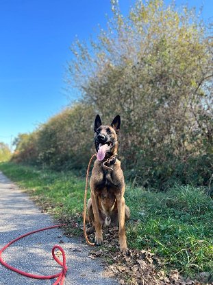 Adopter Tobi