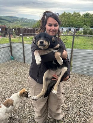 Adopter Trixie