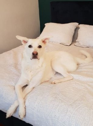 Adopter Winnie