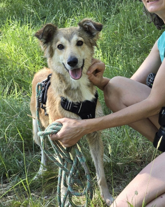 Adopter Yama