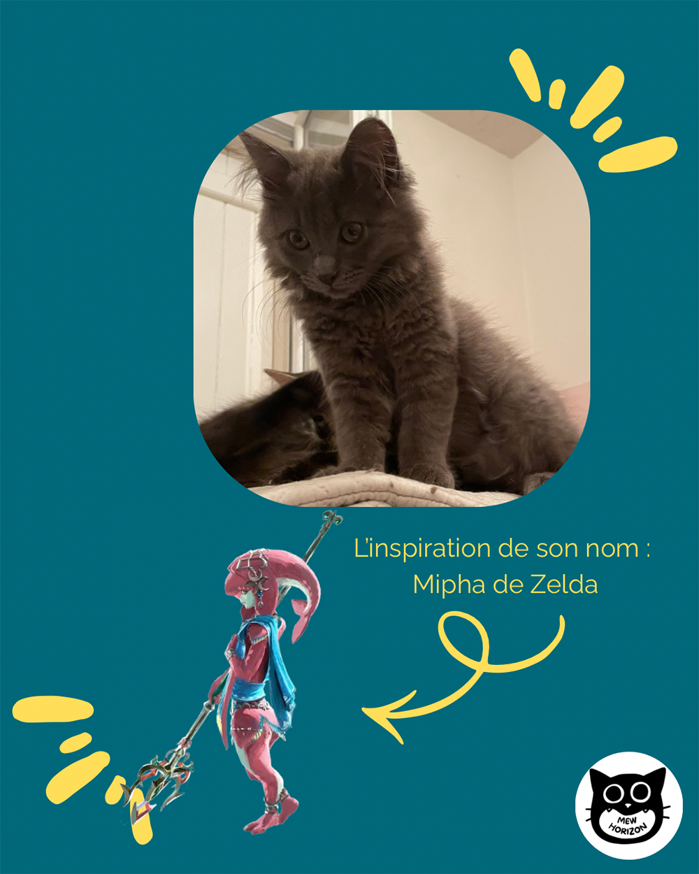 Adoption Mipha