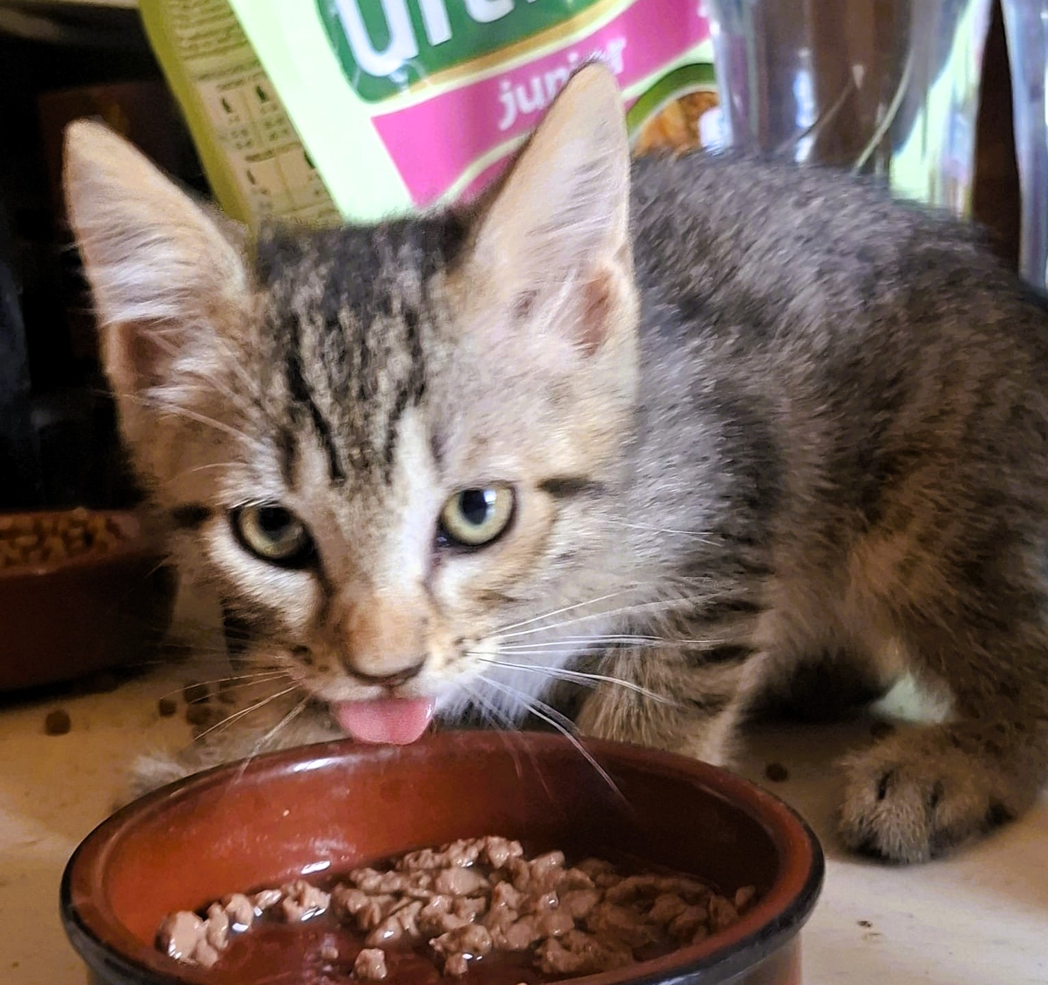 Adopter Barnabé