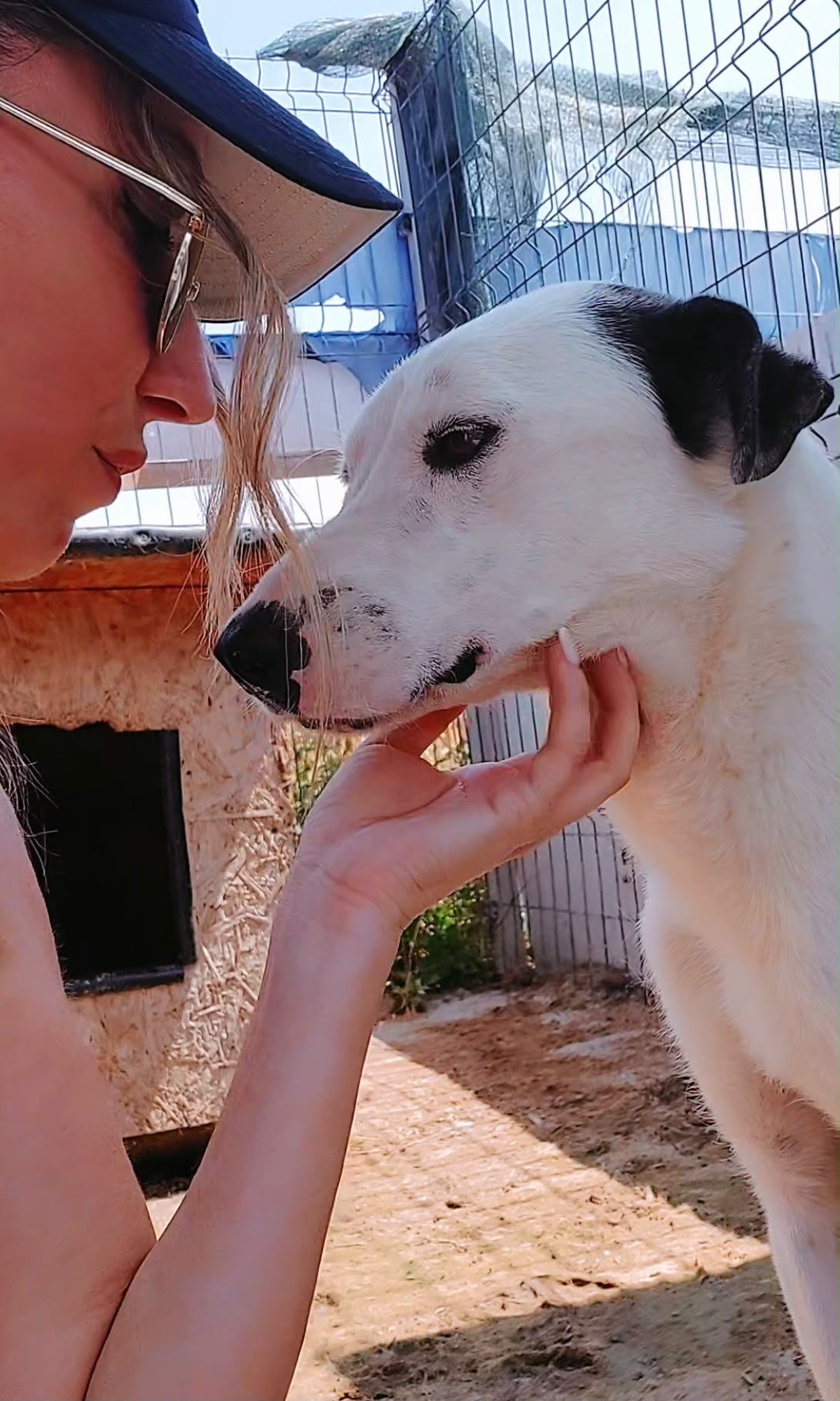Adoption PIPPI